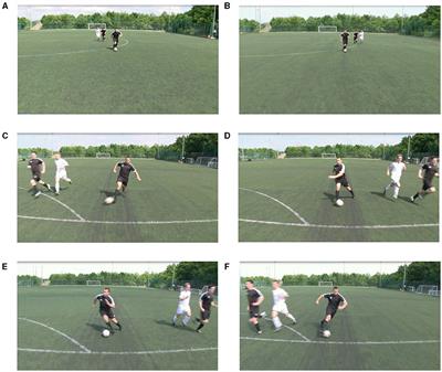 Skill-based differences in the impact of opponent exposure during anticipation: the role of context-environment dependency